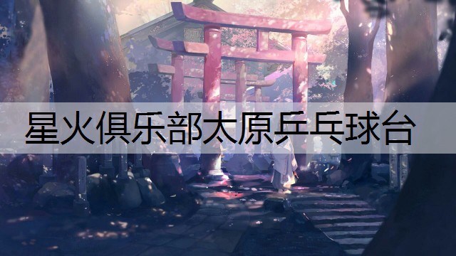星火俱乐部太原乒乓球台