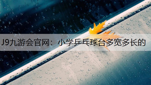 J9九游会官网：小学乒乓球台多宽多长的