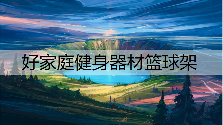 好家庭健身器材篮球架