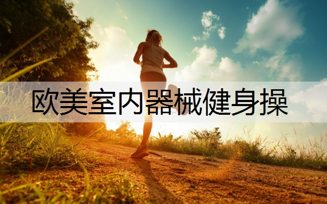 欧美室内器械健身操