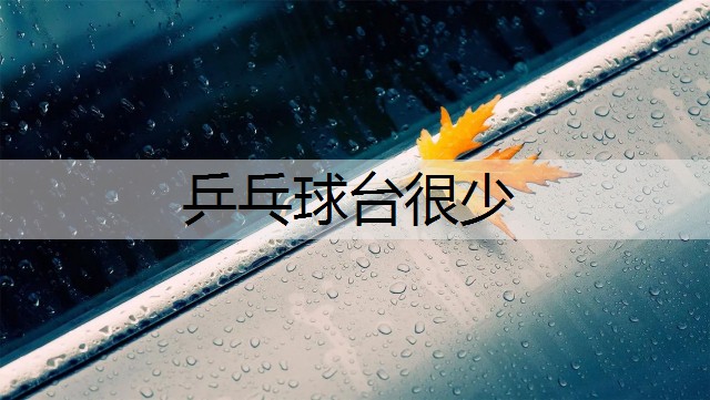 乒乓球台很少