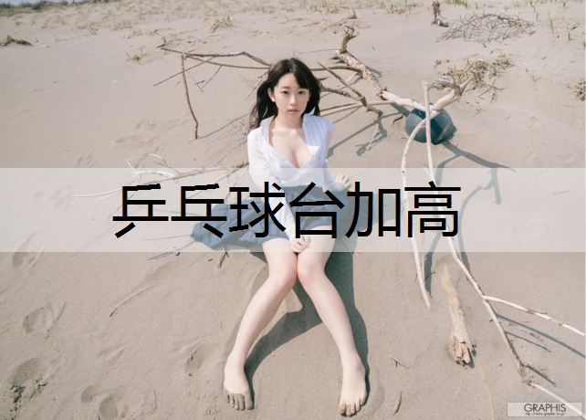 乒乓球台加高