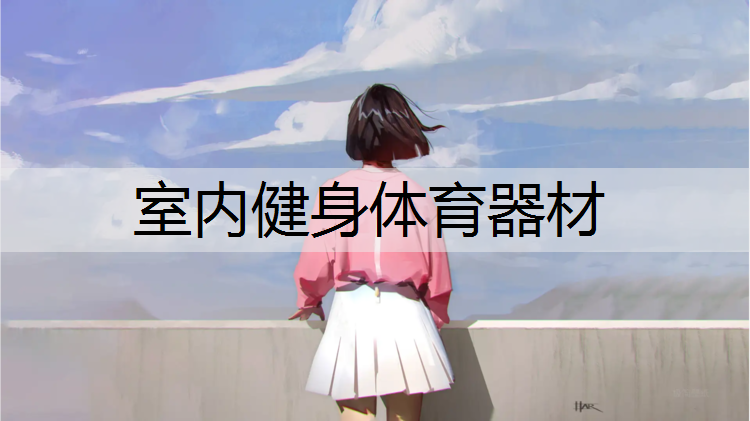 室内健身体育器材