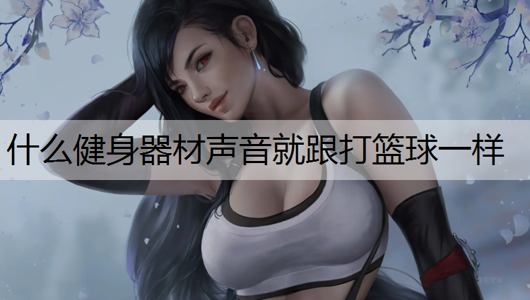 什么健身器材声音就跟打篮球一样