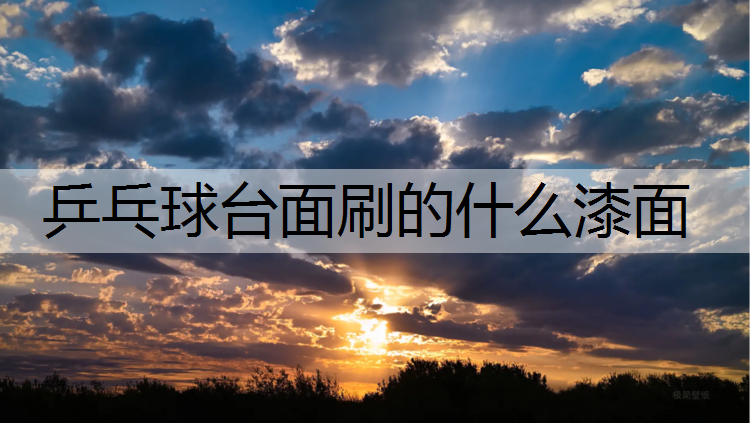 乒乓球台面刷的什么漆面