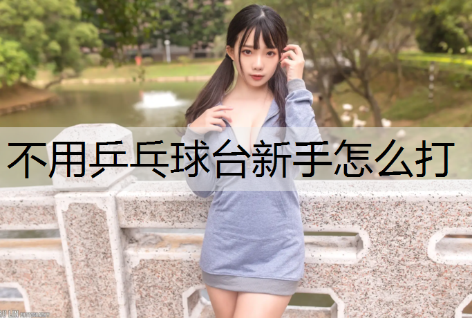 不用乒乓球台新手怎么打
