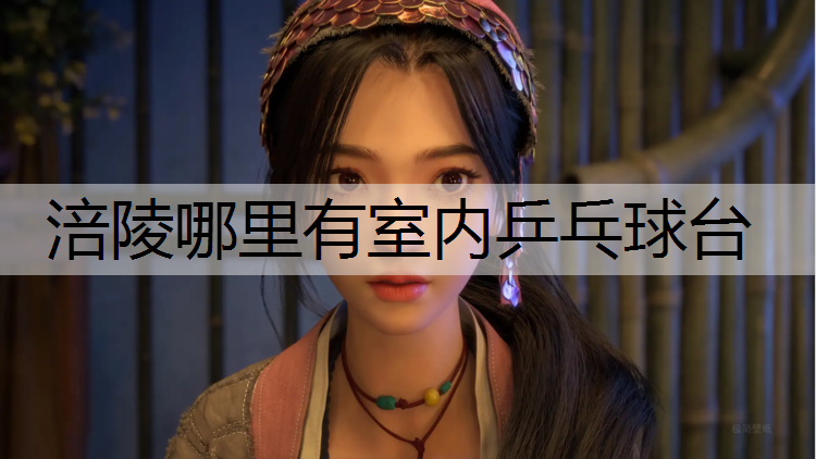 涪陵哪里有室内乒乓球台